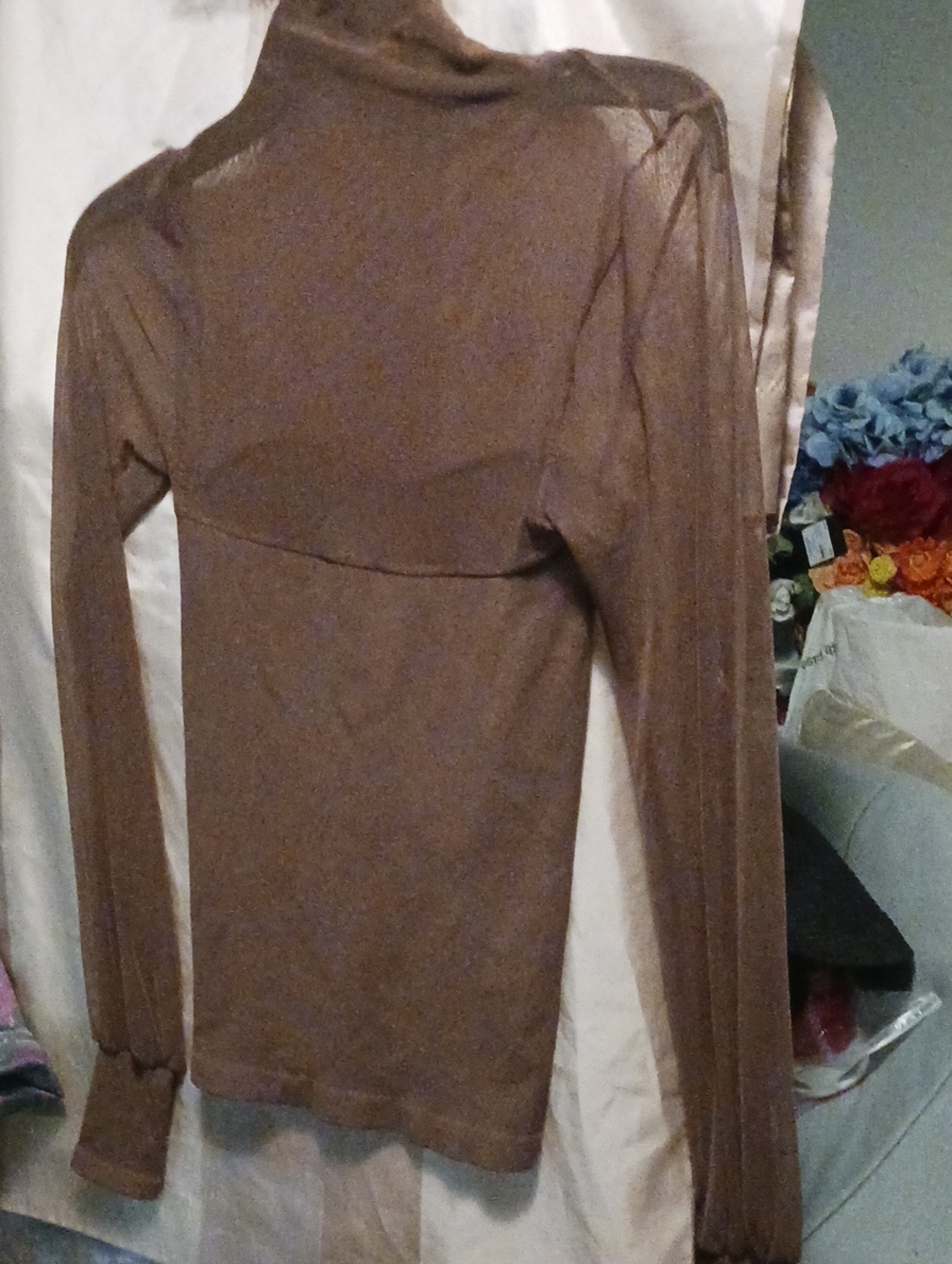 Brown Long-Sleeve Sheer Panel Turtleneck Top